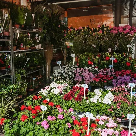 Calm Flat With Terrasse Nearby Montparnasse - - Welkeys Daire